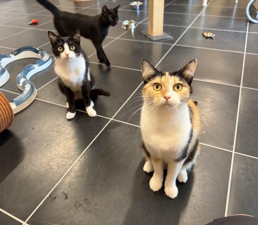 Mimi en Naira