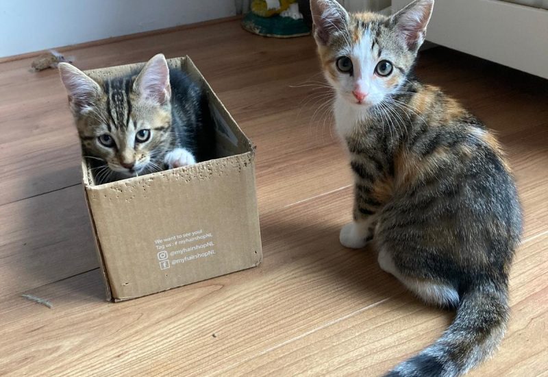 Bella Donna en Belletje1