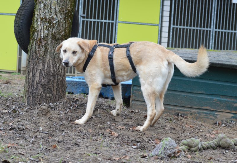 DSC 0491