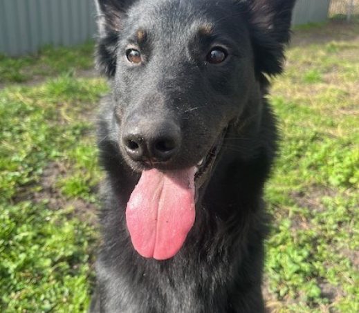 Sam