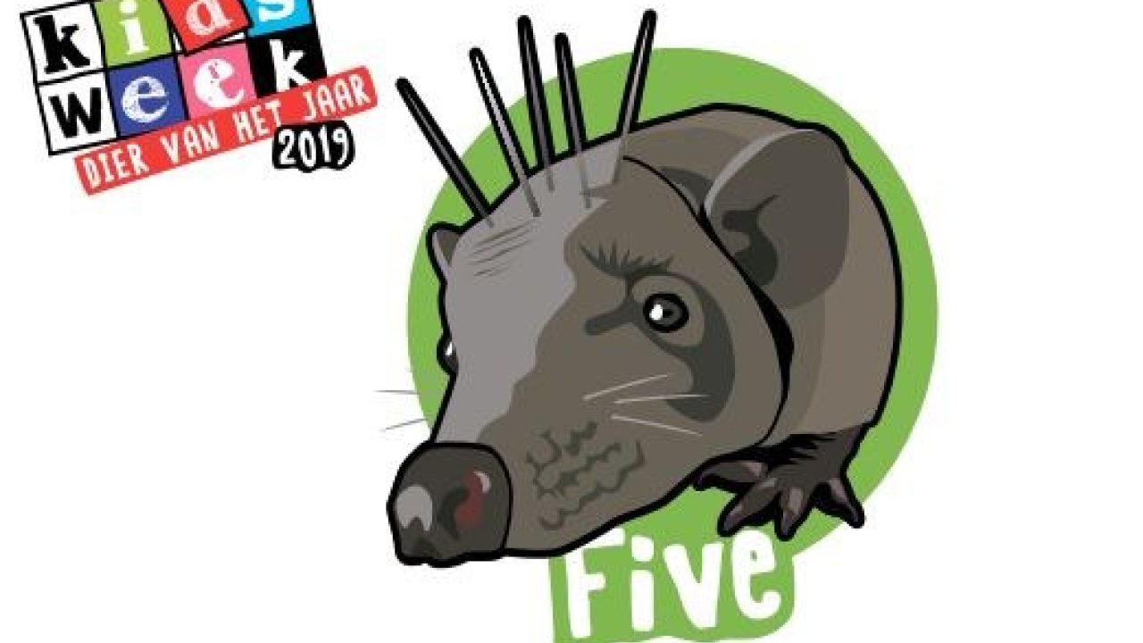 Dier van het Jaar 2019: stem op Five!