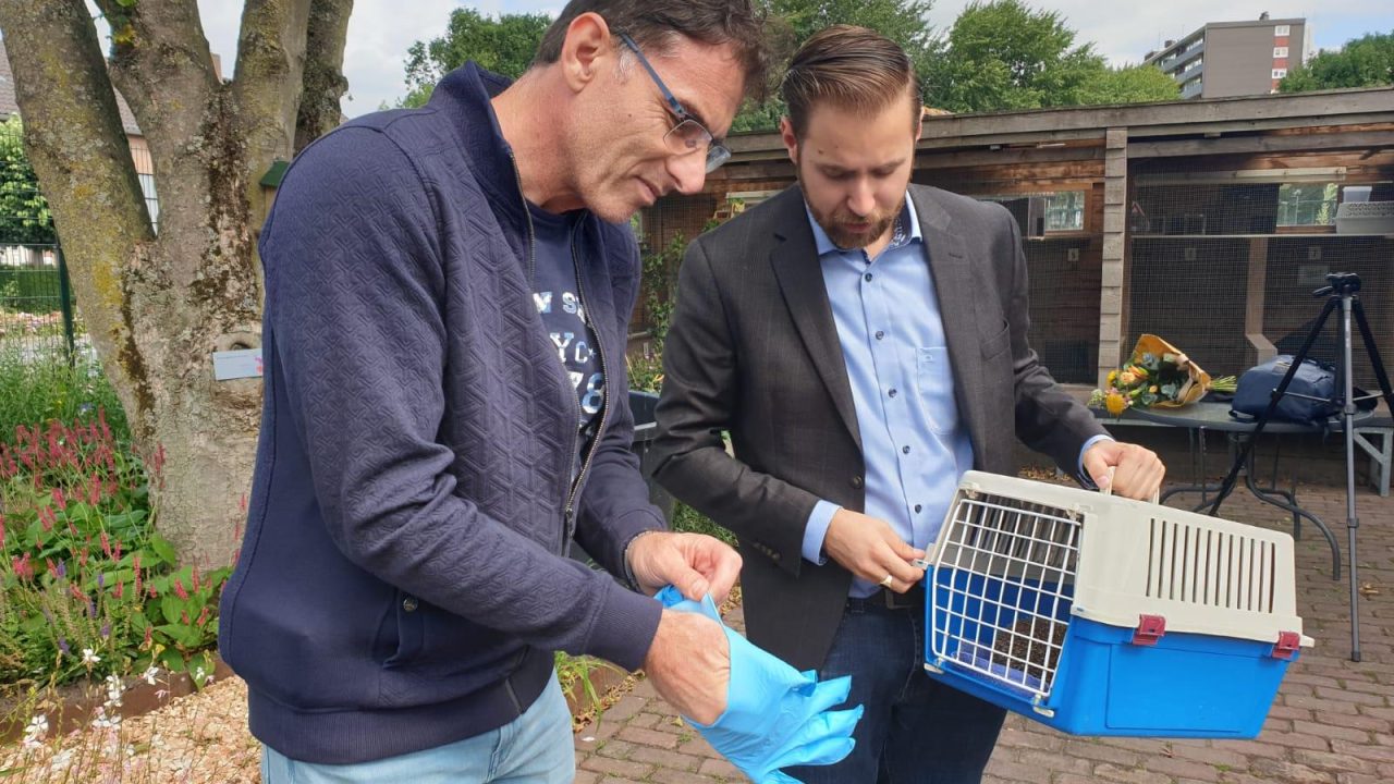 Egelopvang krijgt unieke egeltuin