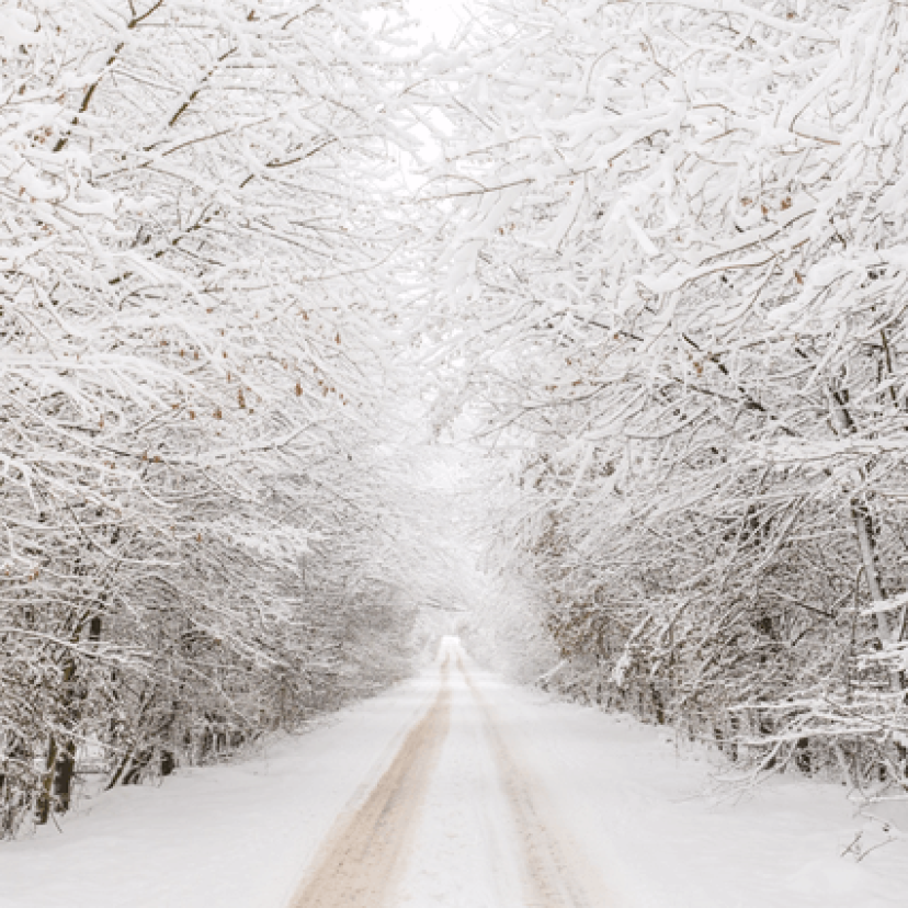 Sneeuw