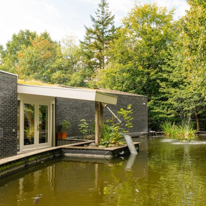 Over Het Knaagspoor