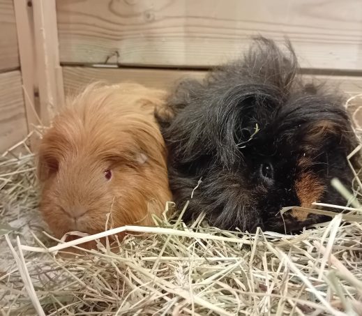 Charles en Jacky