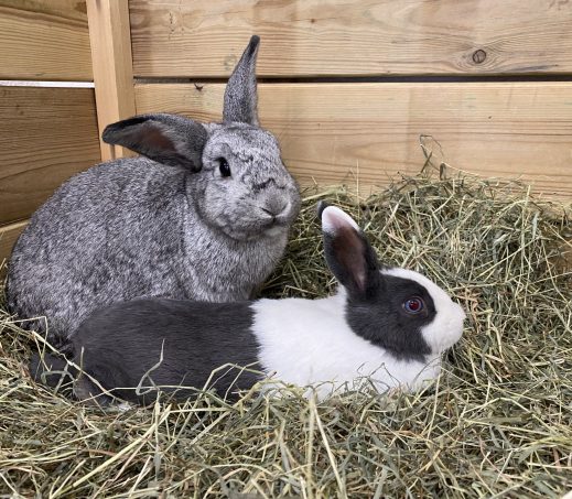 Pinky samen met Whitney