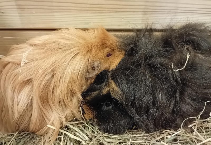 Charles en Jacky 1