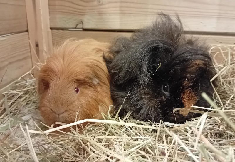 Charles en Jacky