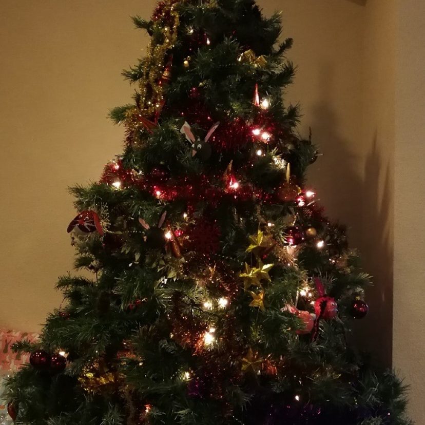 Kerstboom