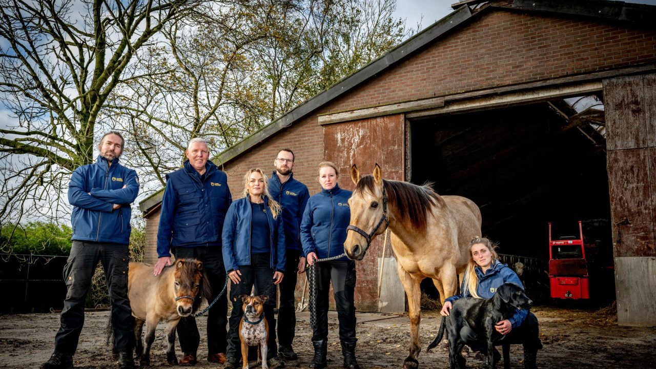 Verwaarlozingszaken worden heftiger; aantal meldingen van dierenartsen neemt toe