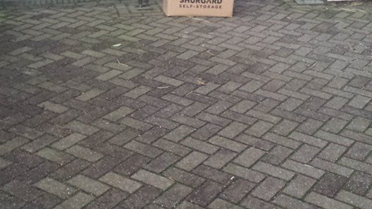 Gedumpte konijnen..