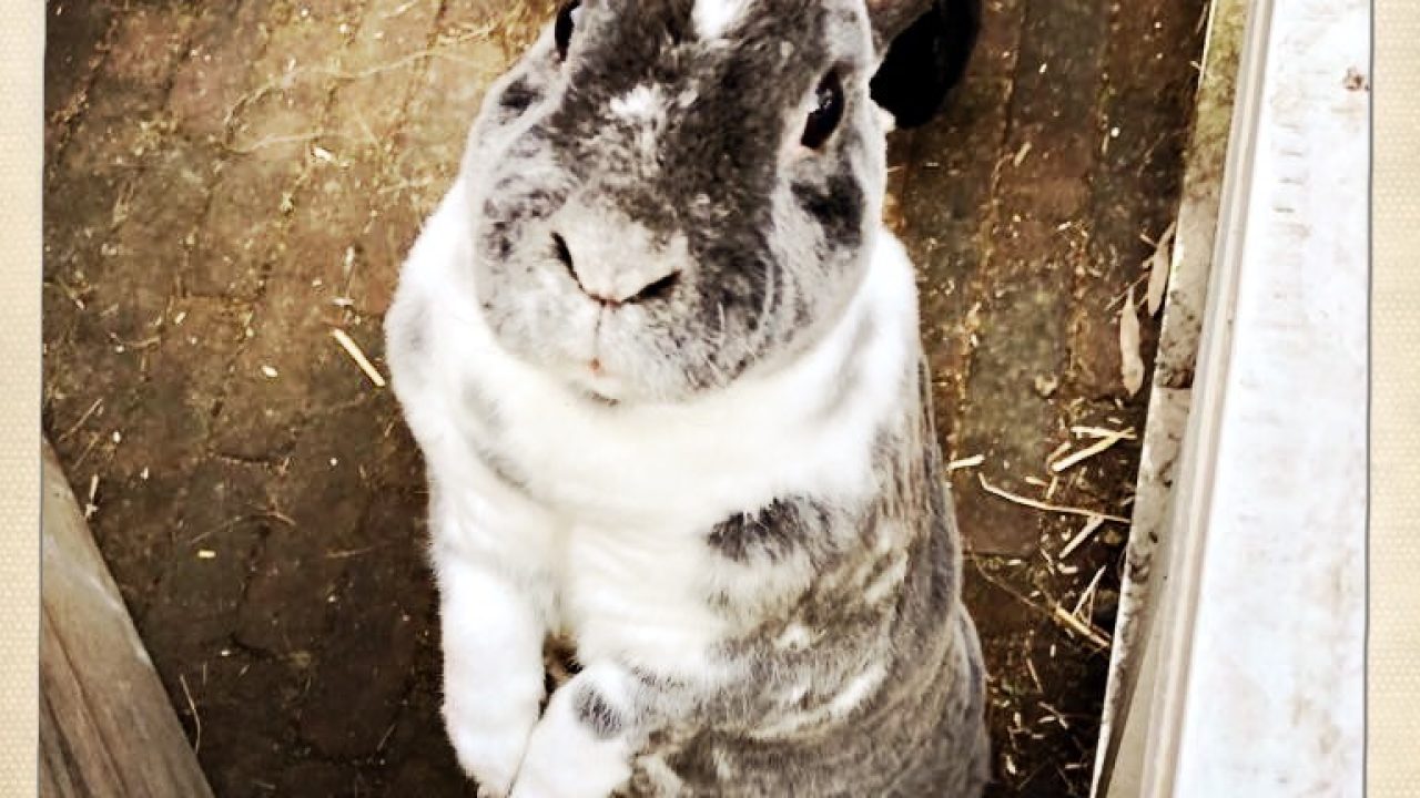 Betty op haar nieuwe plekje