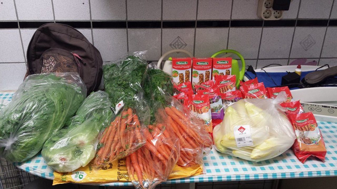 Lekkers voor onze dieren van Anna