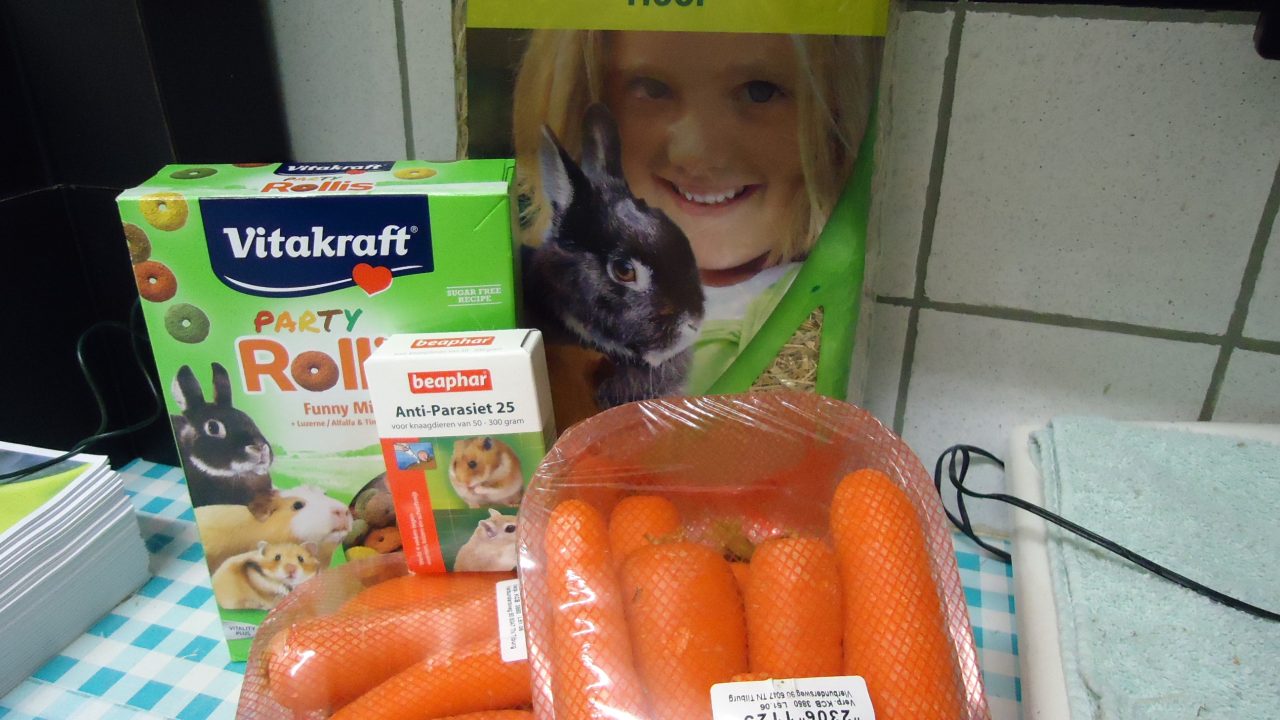 Gift Eline