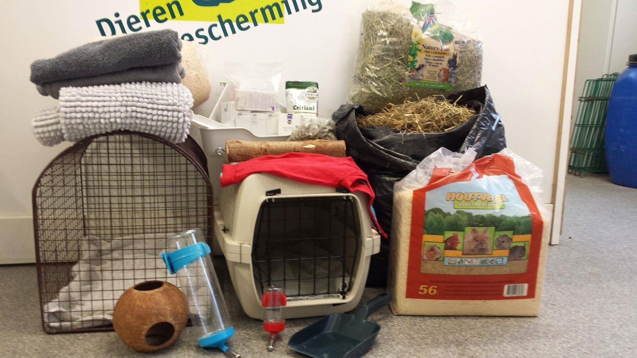 Een grote donatie!