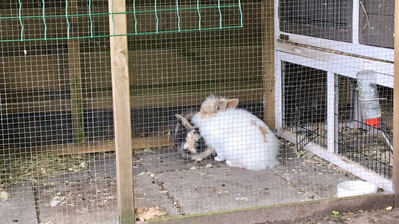 Suma en zijn vriendin Snuffie