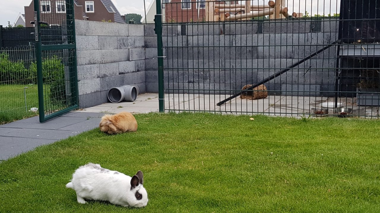 Timmie op een geweldige plek!