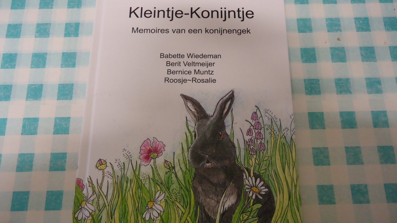Kleintje Konijntje 9,95 euro
