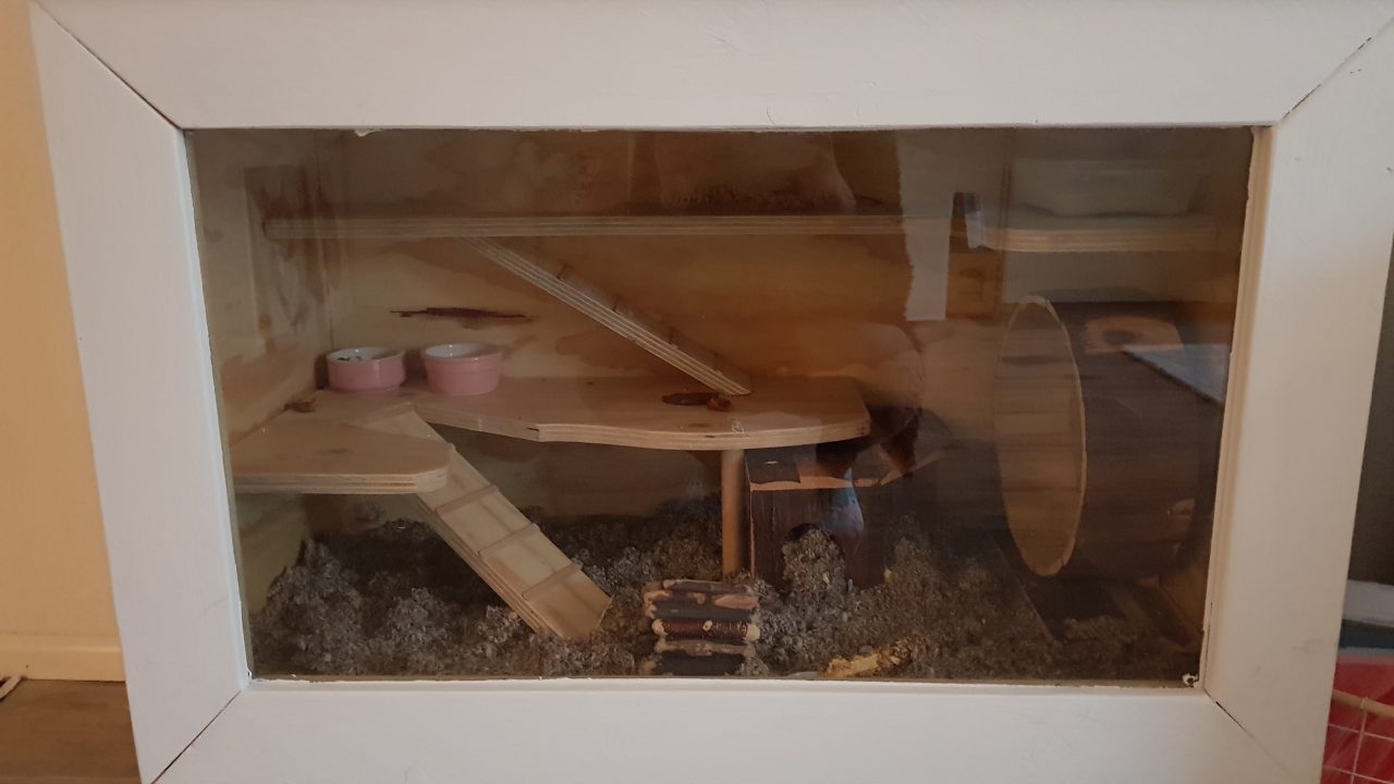 Het gave hamsterverblijf van