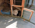Bun en Daisy
