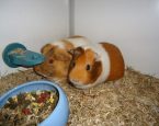 DSC01657 Small