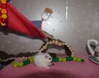 Olaf