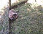 Snuffie en snuitje samen Small