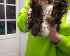 Geest2