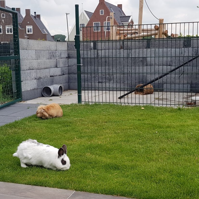 Timmie op zn nieuwe plek