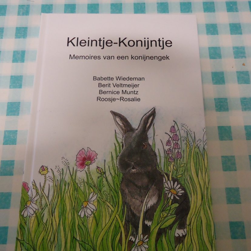 Boek