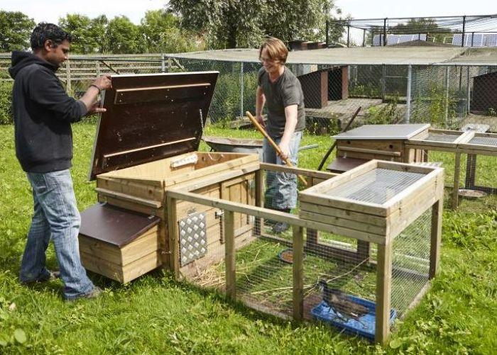 Dankzij de belangeloze inzet van talloze vrijwilligers kan de wildopvang bestaan. (foto: Nico Kroon ©)