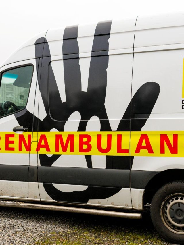 Born Dierenambulance 13