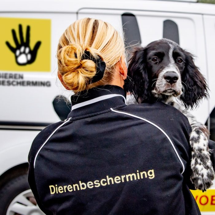 Waarvoor bel je de dierenambulance?