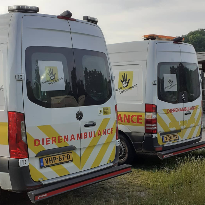 Schermafbeelding 2021 07 16 om 11 55 44
