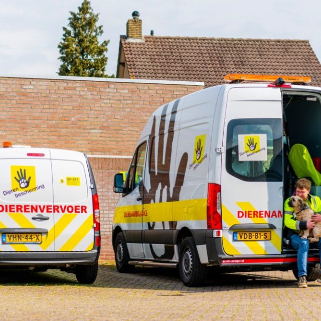 DA Maasland 6