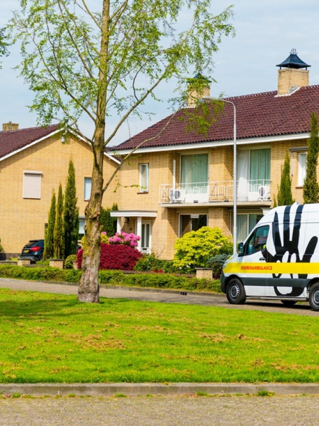 DA Maasland 30