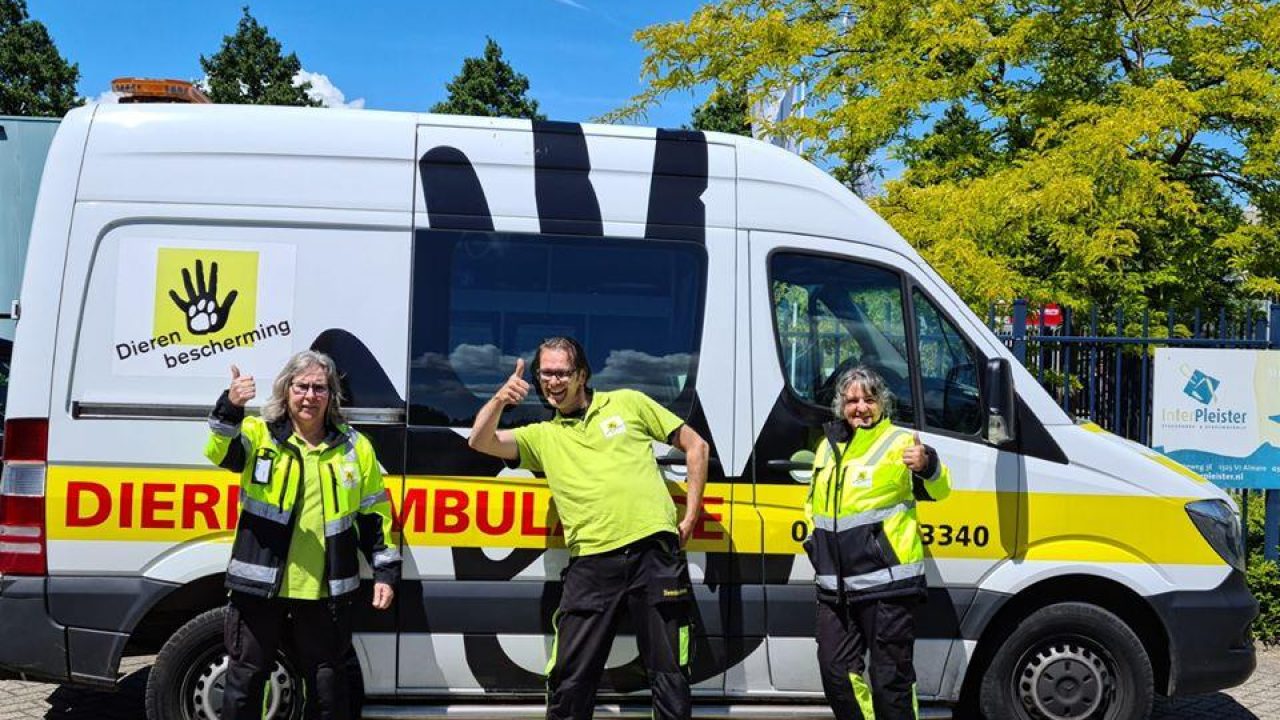 Trots: Onze dierenambulance wint tegel voor Walk of Fame Almere!