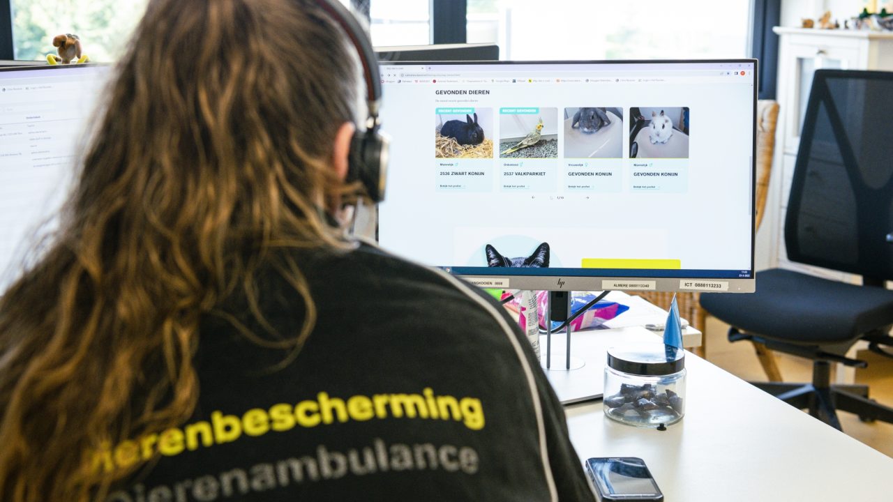 Zwerfdieren uit Almere per 15/11 naar Amersfoort en Zandvoort