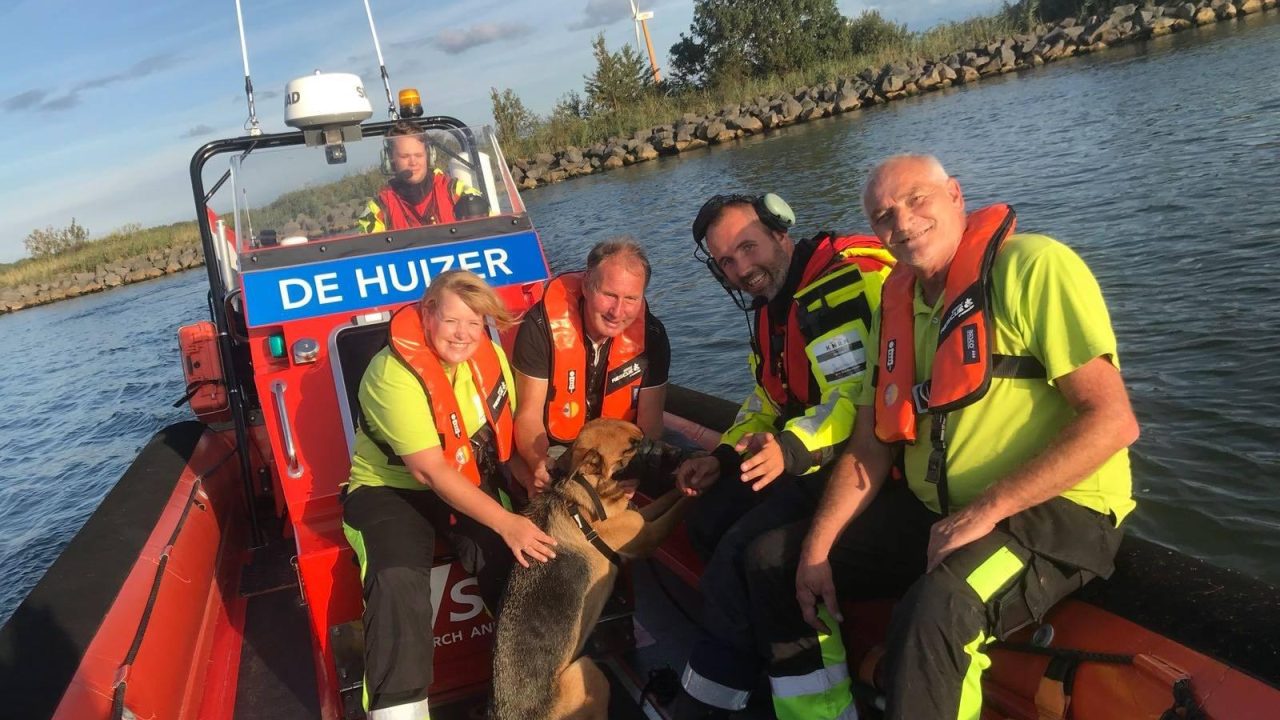 Hond Coda dertien dagen vermist