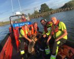Coda op het bootje
