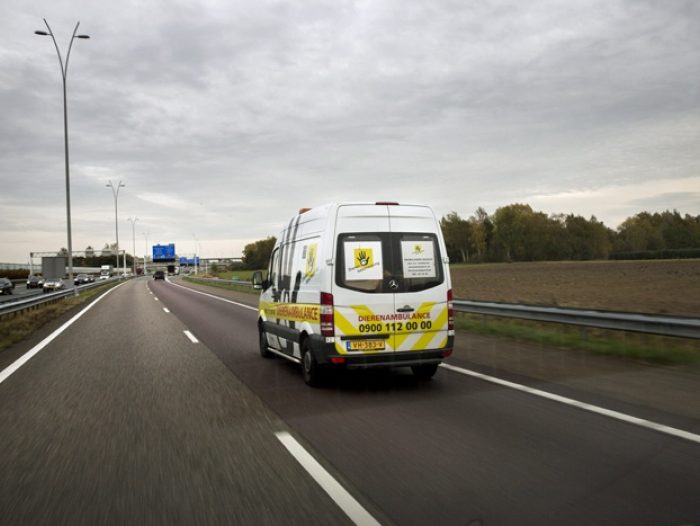 Dierenambualce snelweg