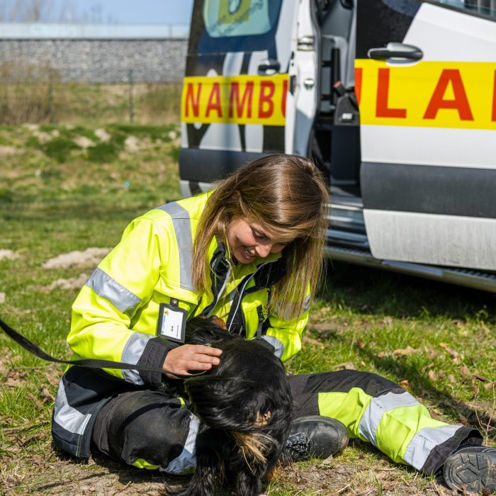 Werkgebied en taken