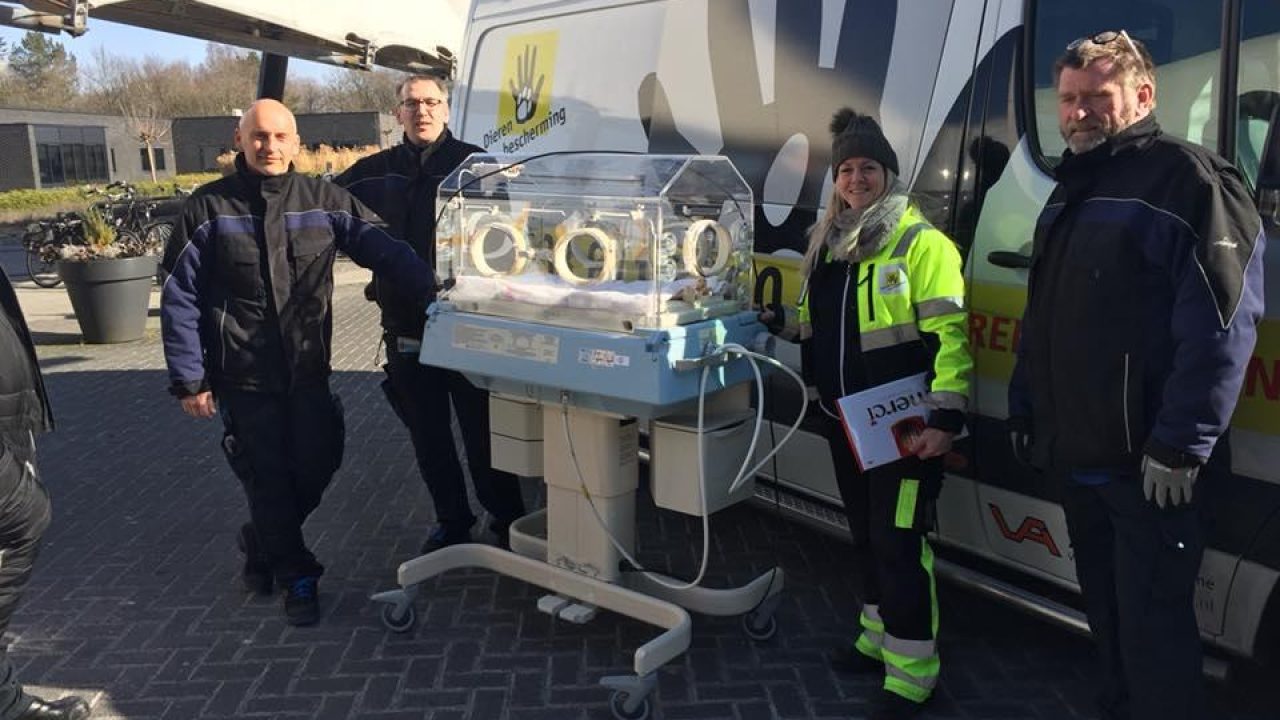 Ziekenhuis schenkt oude couveuse