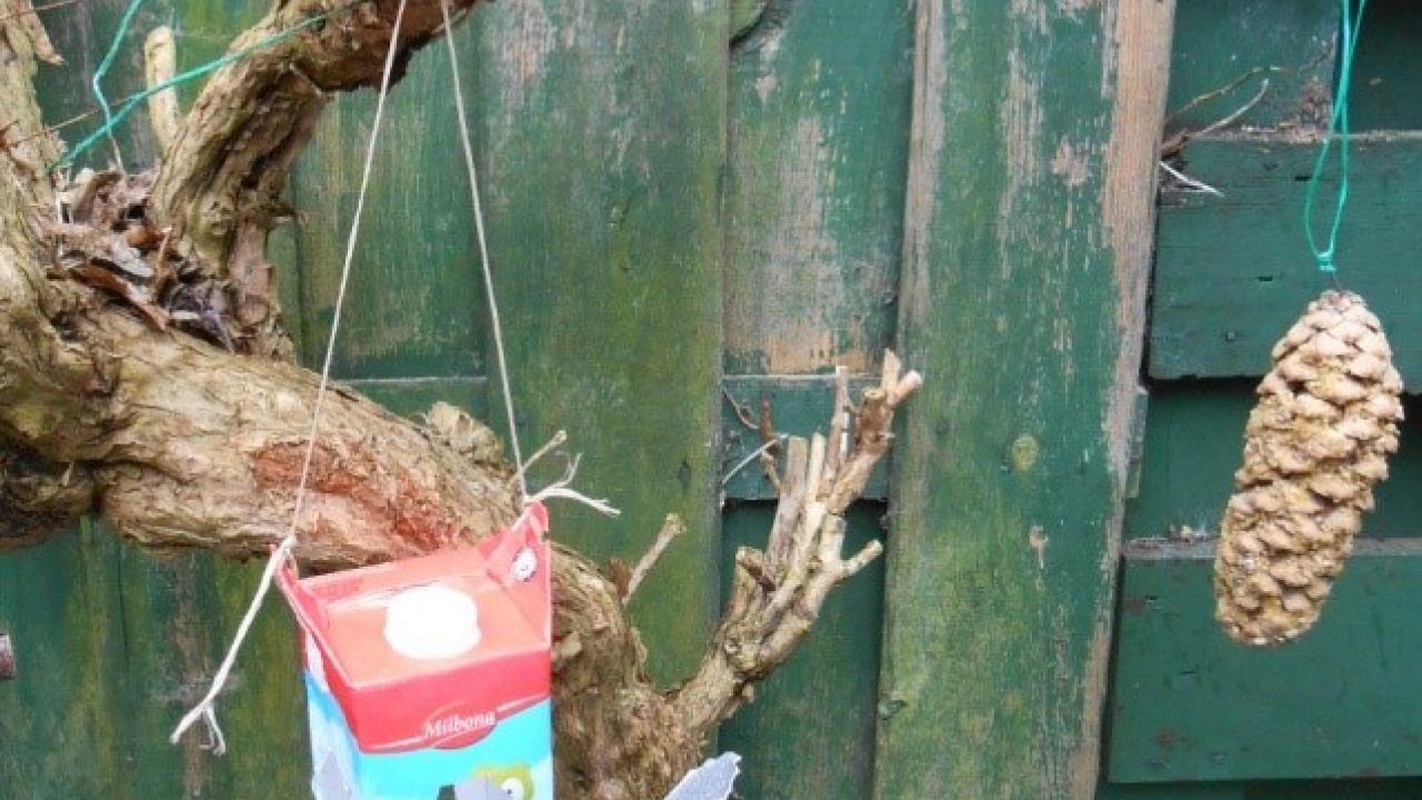 Verzorging van dieren in de winter