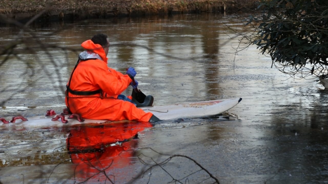 Verkleumde gans gered uit ijswater