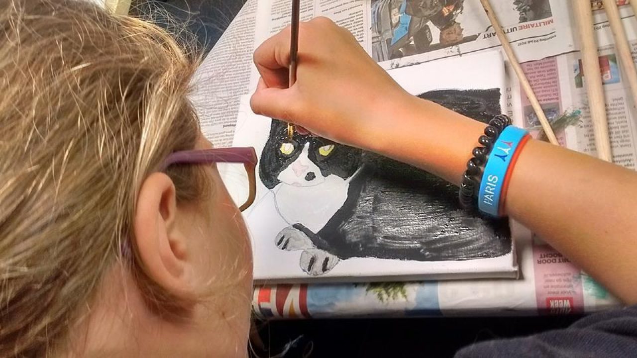 Veel animo voor asieldieren naschilderen