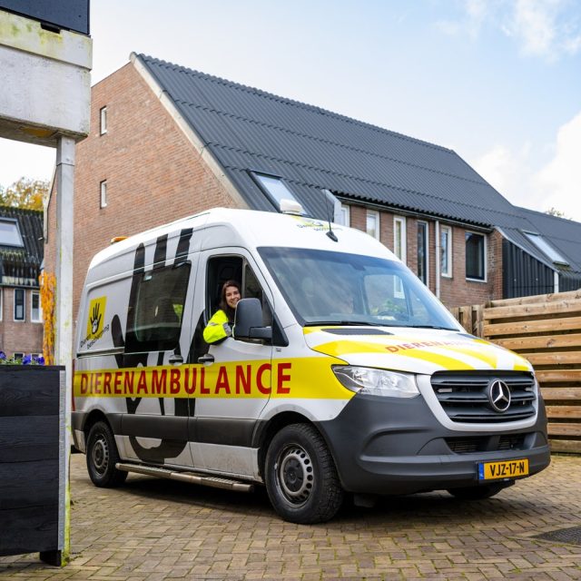 DBDA Assen 21 1