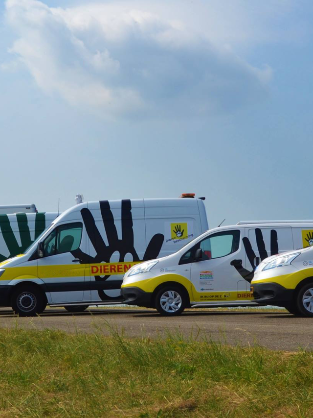 Allerlei dierenambulances