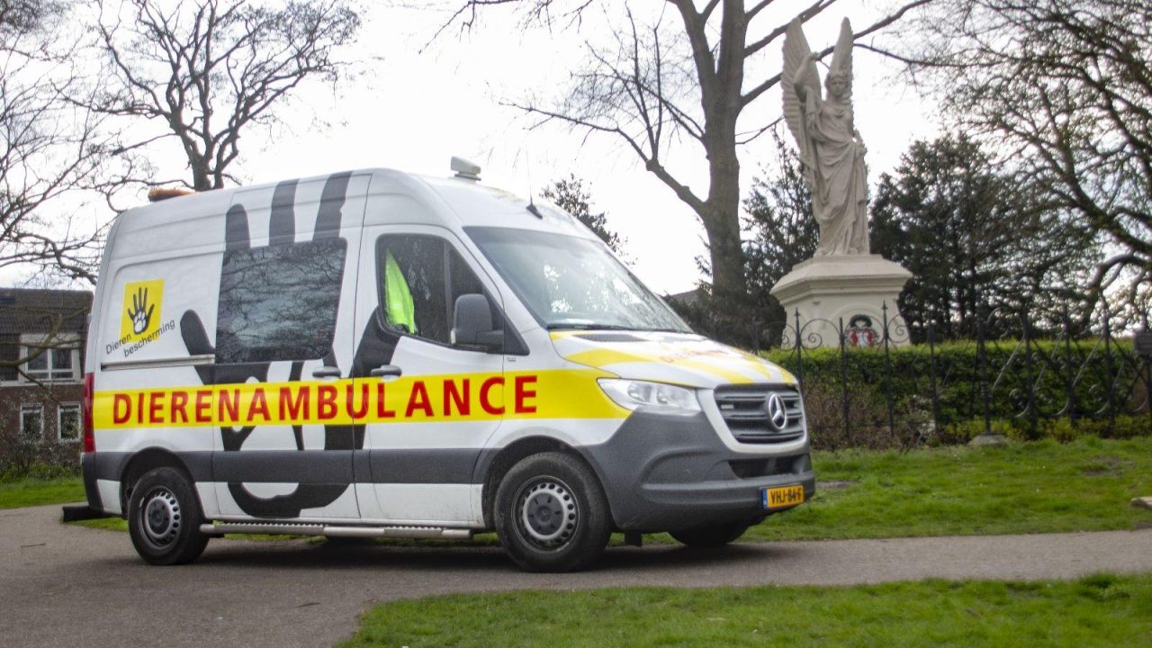 Nieuwe naam voor onze dierenambulance!