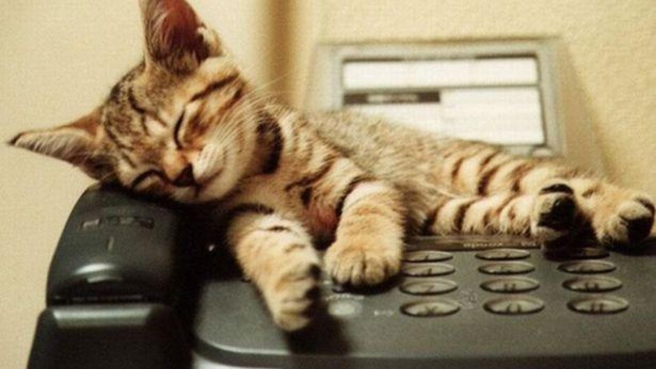 Nieuw telefoonnummer Noord-Holland Noord